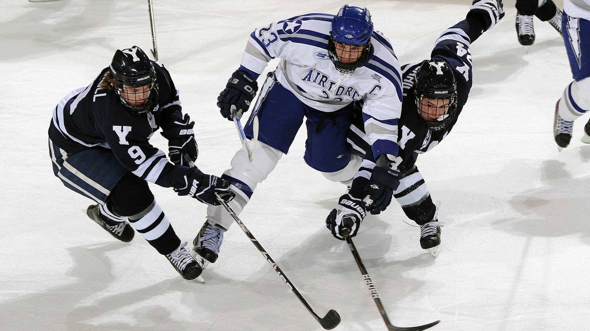 世界游泳锦标赛精彩不断